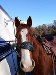 Bronc Noseband with Rope Halter